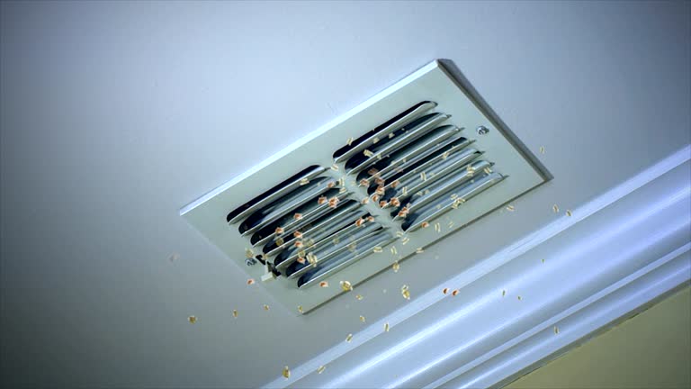 Air Duct Mold Removal in Tanglewilde, WA
