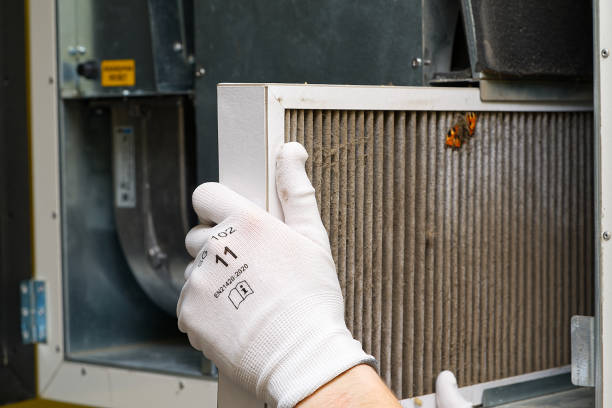 Home Air Vent Cleaning in Tanglewilde, WA