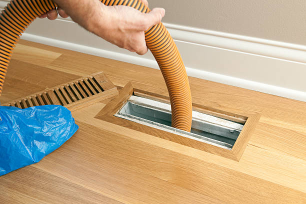 Best Local Air Duct Cleaning Services  in Tanglewilde, WA