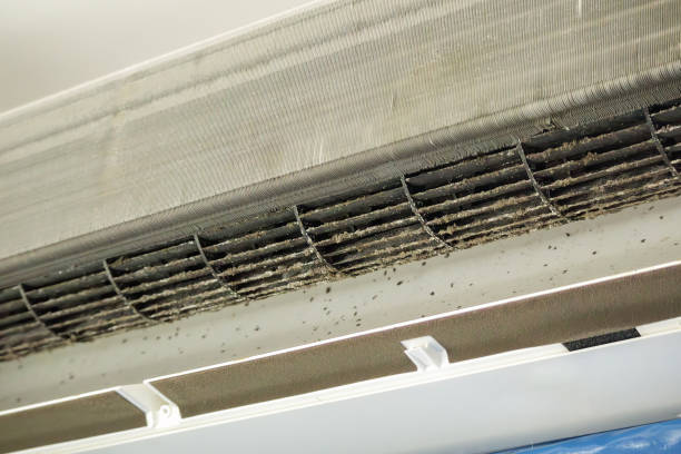Best Affordable Air Duct Cleaning  in Tanglewilde, WA