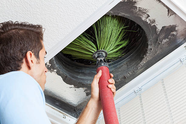 Best Commercial Air Duct Cleaning  in Tanglewilde, WA